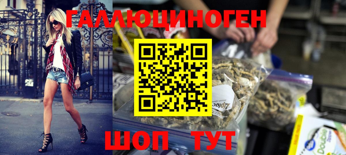 Псилоцибиновые грибы Psilocybe Лесной