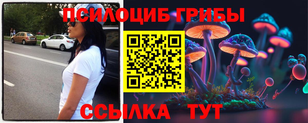 Псилоцибиновые грибы мицелий  Вход с VPN  Лесной 